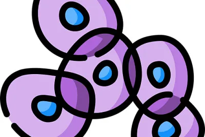 Celulas