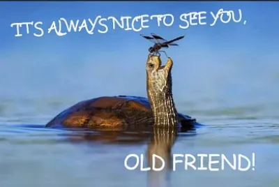 old friends jigsaw puzzle