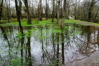 פאזל של Le Lac d 'Halco Hagetmau