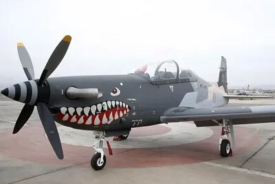 Avión 5 jigsaw puzzle