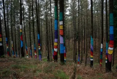 La Forêt d 'Oma