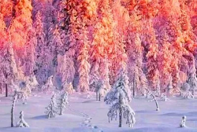 naturaleza