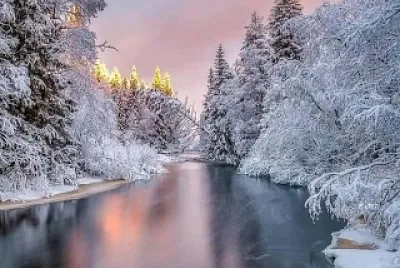 naturaleza
