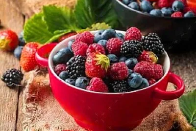 alimentos