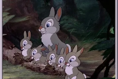 Une famille de pinpins