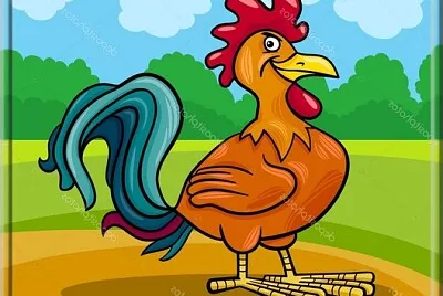 Coq
