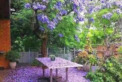 jardin