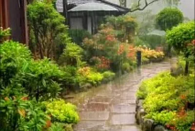 jardin jigsaw puzzle
