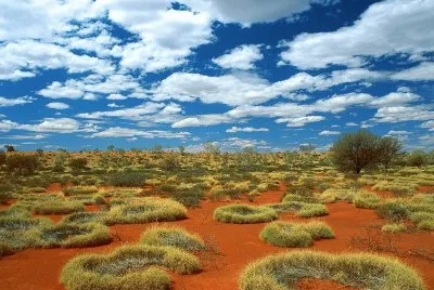 FaraÃ³n