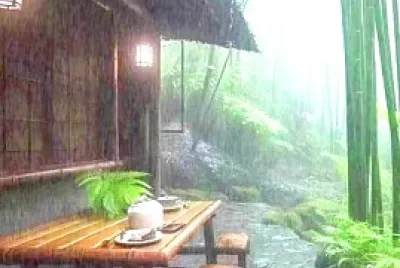 lluvia jigsaw puzzle