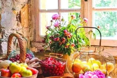 alimentos