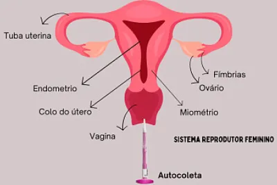 Jogo Congresso
