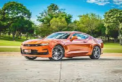 Toy