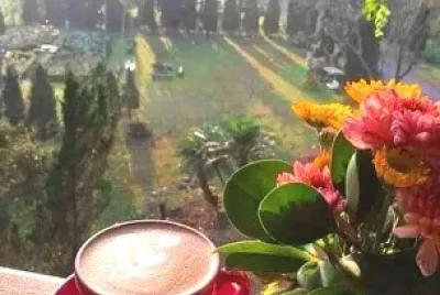 taza
