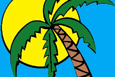 PALMERA Y SOL