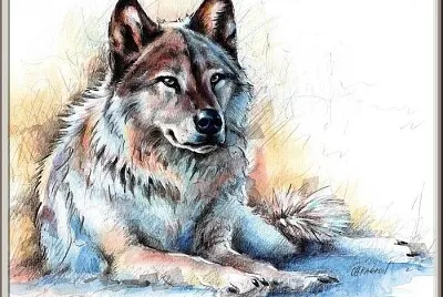 Dessin de loup jigsaw puzzle