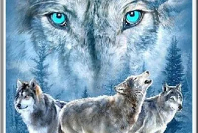 Loups sous la lune