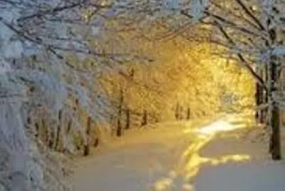naturaleza