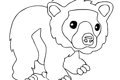 oso