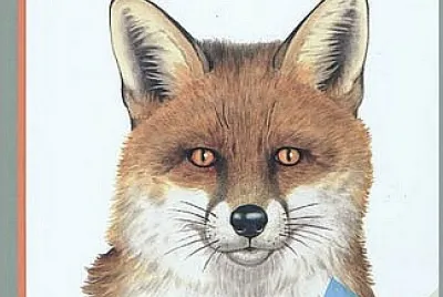 Le Renard