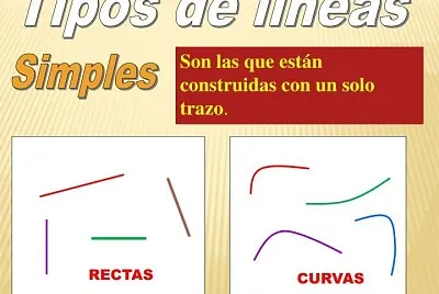 líneas rectas