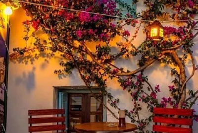 Terraza de verano