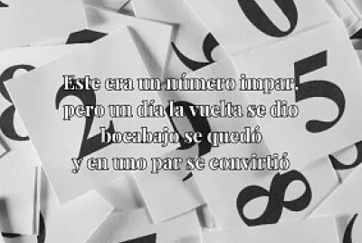 puzzle libro