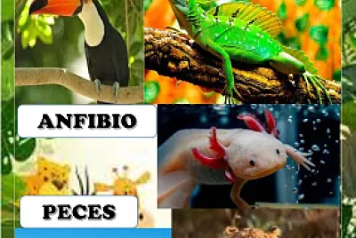 animales vertebrados