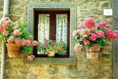 ventana