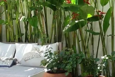 silla