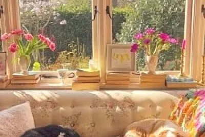 perro