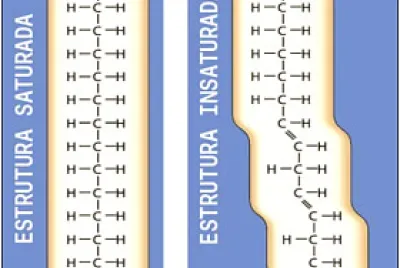 moléculas químicas