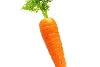 carota