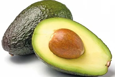 avocado