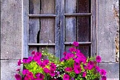 ventana
