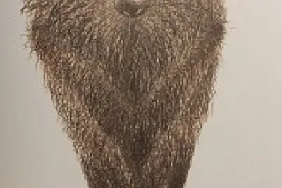 Este é o Lobo