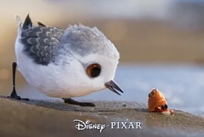 Piper
