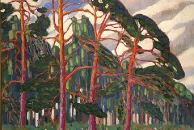 Konrad Magi forêt
