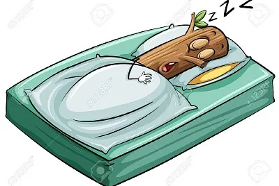 sleep like a log