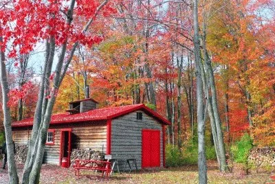 image jigsaw puzzle
