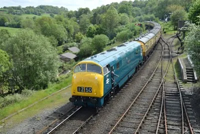 D821 Highley jigsaw puzzle