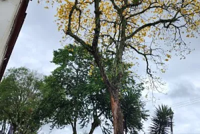 Simplemente hermosos!
