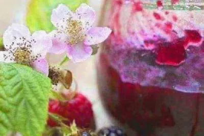 alimentos jigsaw puzzle