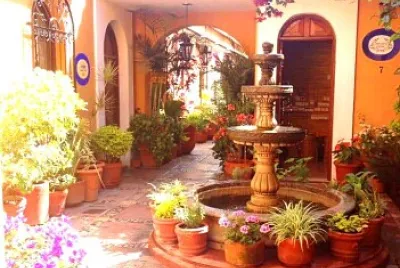 jardin jigsaw puzzle