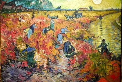 Van Gogh arlésiennes dans les vignes