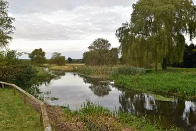 Norfolk 2