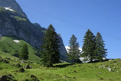 Schwägalp Schweiz jigsaw puzzle