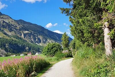 פאזל של Sils im Engadin Schweiz