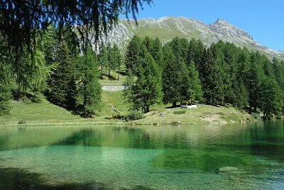 פאזל של Palpuogna See Schweiz