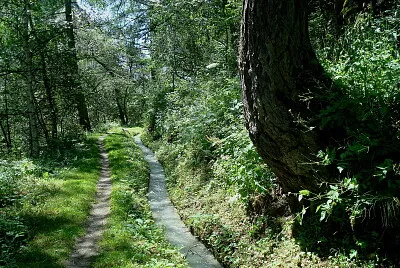פאזל של Suonen Baltschiedertal Schweiz